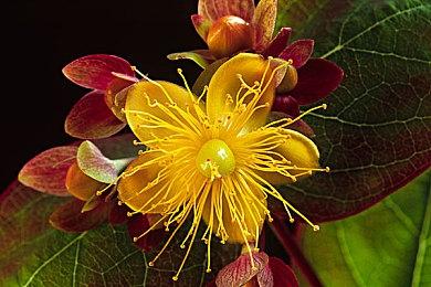 恐怖游戏《邪吟》新预告 美女在噩梦空间求生